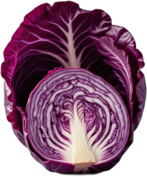 Rotkohl, roh