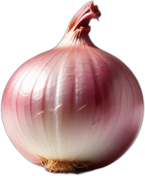 Cebolla cruda