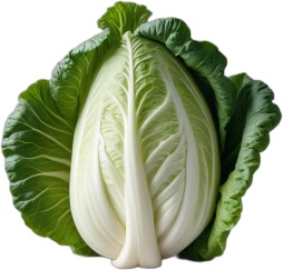 Col china (col napa o bok choy), cruda