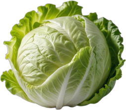 ผักกาดแก้วดิบ