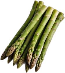 Spargel, grün, roh