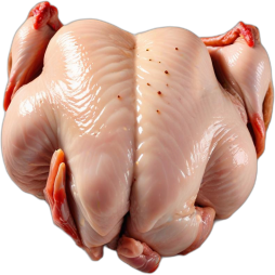 ไก่เนื้อและหนังดิบ