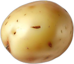 Patata nueva, cruda